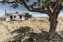 Digital art - abandoned home and trees